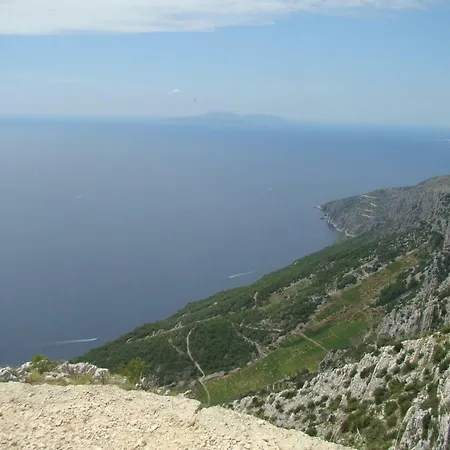 Lola Jelsa (Hvar)