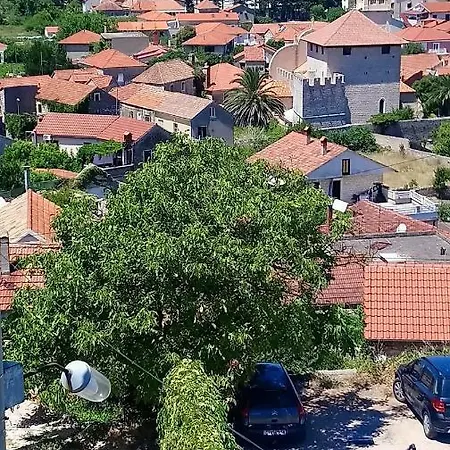 Lola Jelsa (Hvar)